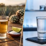 tequila vs vodka